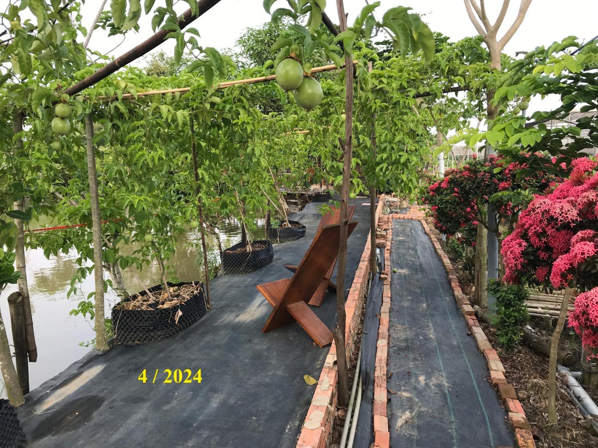 Maison En Bambou Phong-Le Vent Sa Dec ภายนอก รูปภาพ