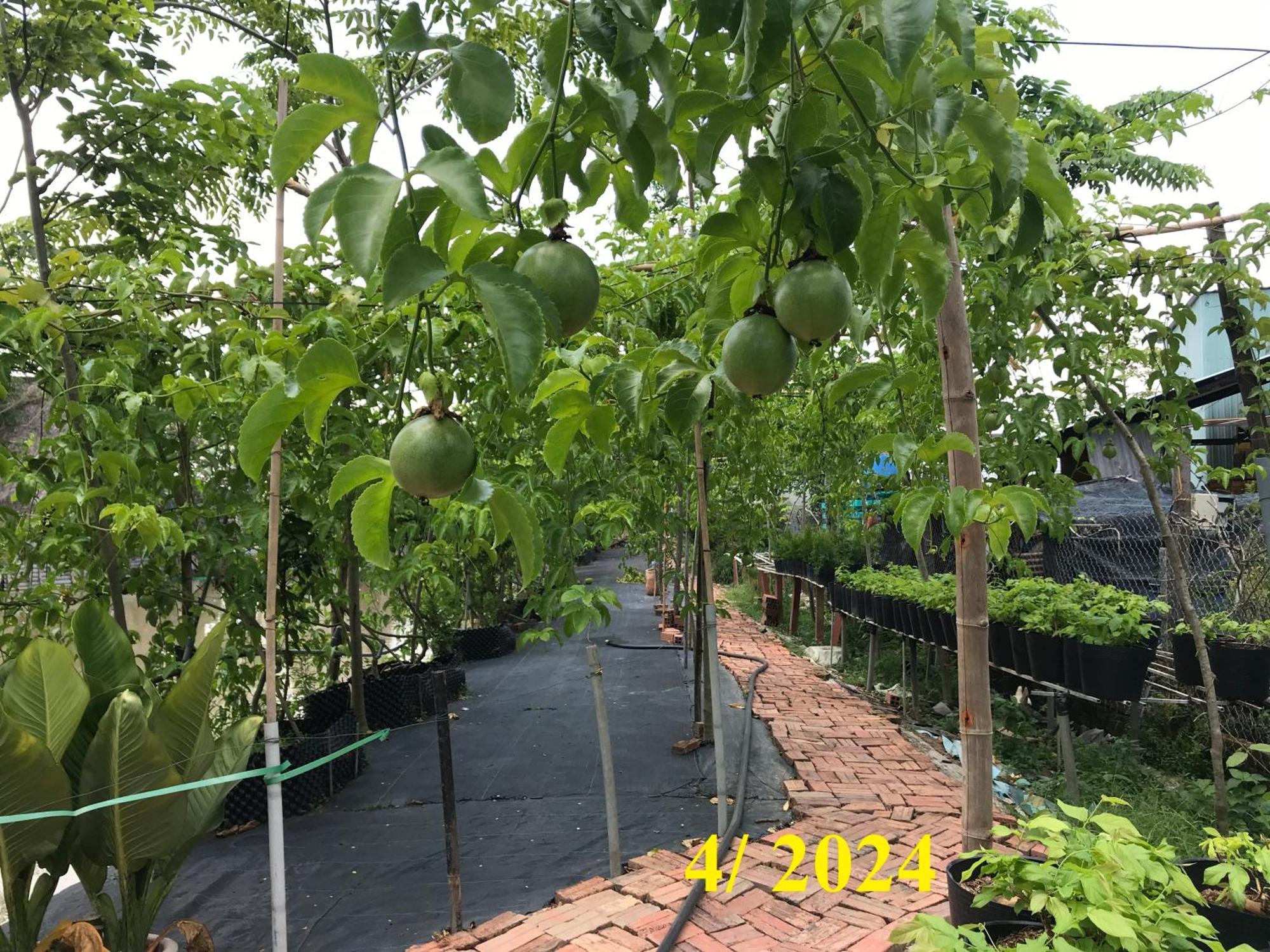 Maison En Bambou Phong-Le Vent Sa Dec ภายนอก รูปภาพ